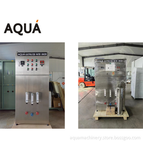 Ionizer Alkaline Water System 1000LPH in Vietnam